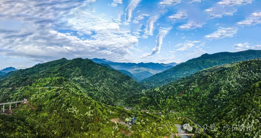 青山变“金山”的“崇州密码”