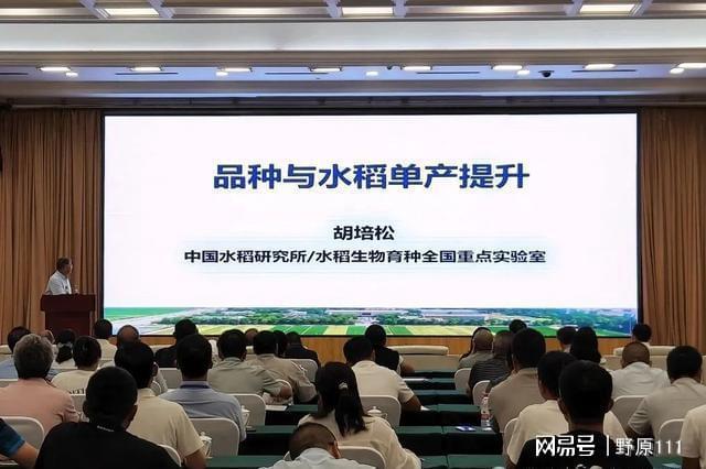 未来几天崇州水稻新品种展示惊艳院士|种植|优质稻